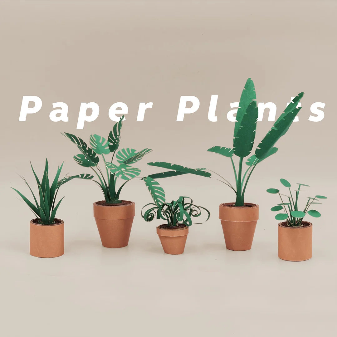 Paper Plants | DIY Craft Kit