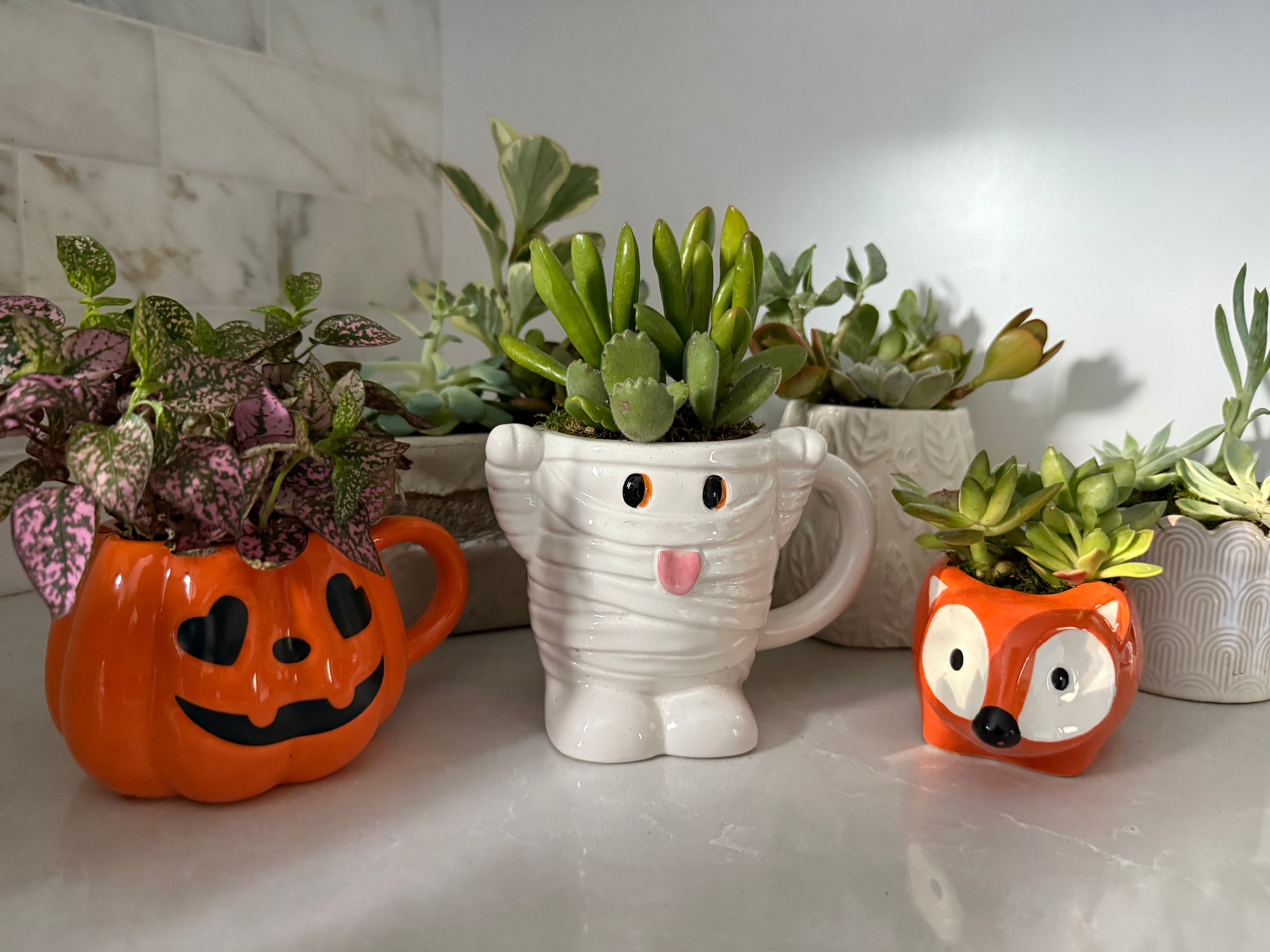 Decorative planters shaped like a pumpkin, mummy, and fox on a light surface.