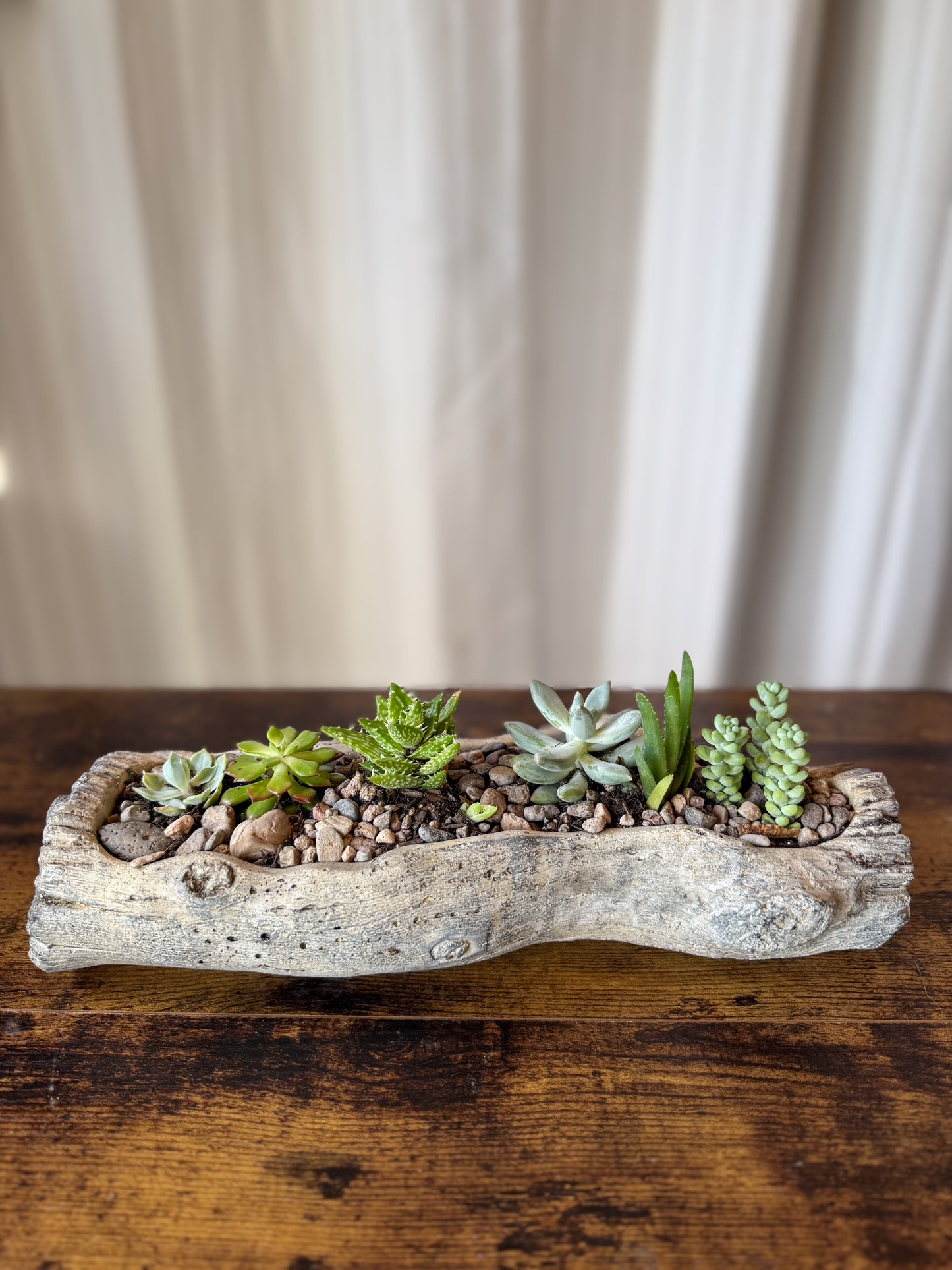 Succulent Log Mix