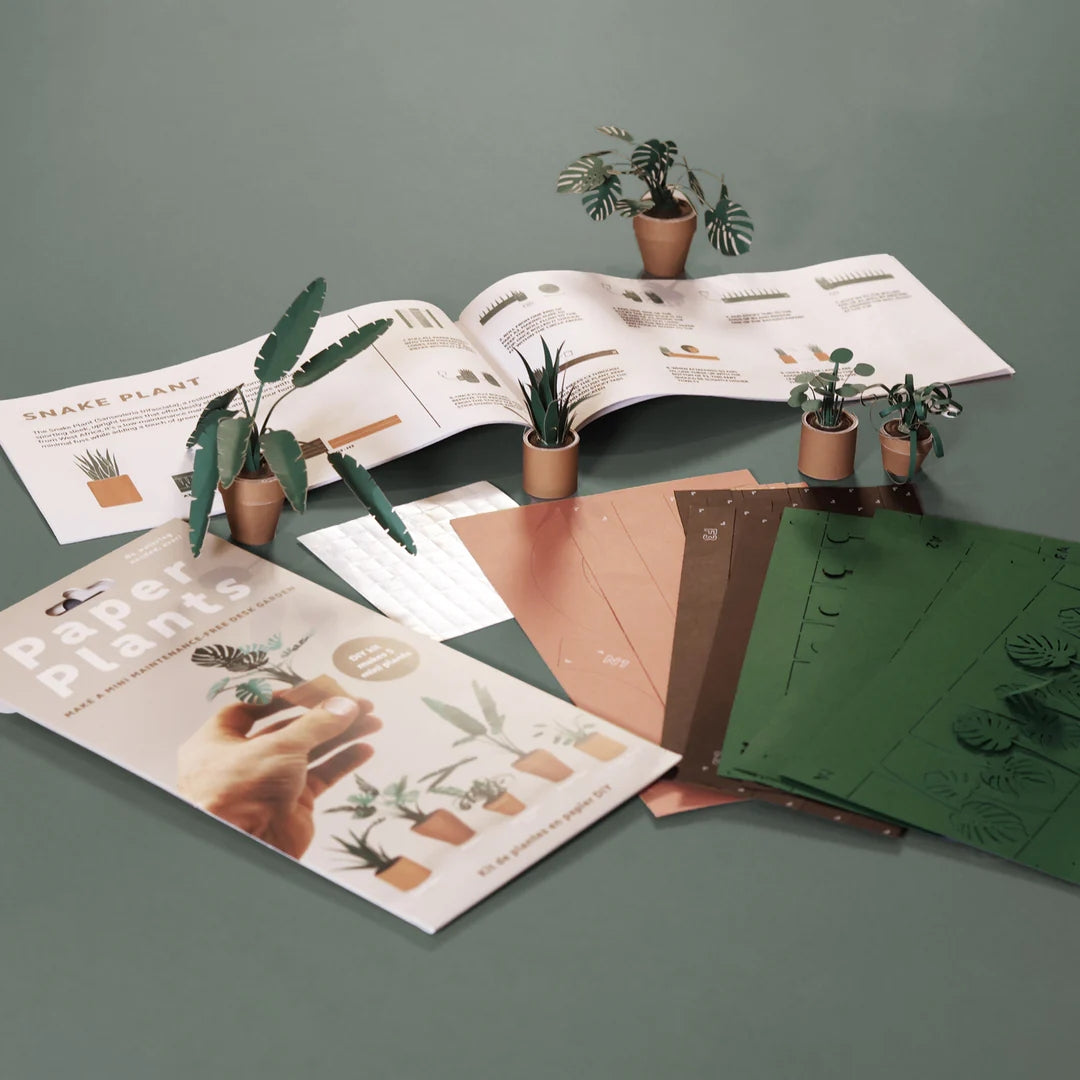 Paper Plants | DIY Craft Kit