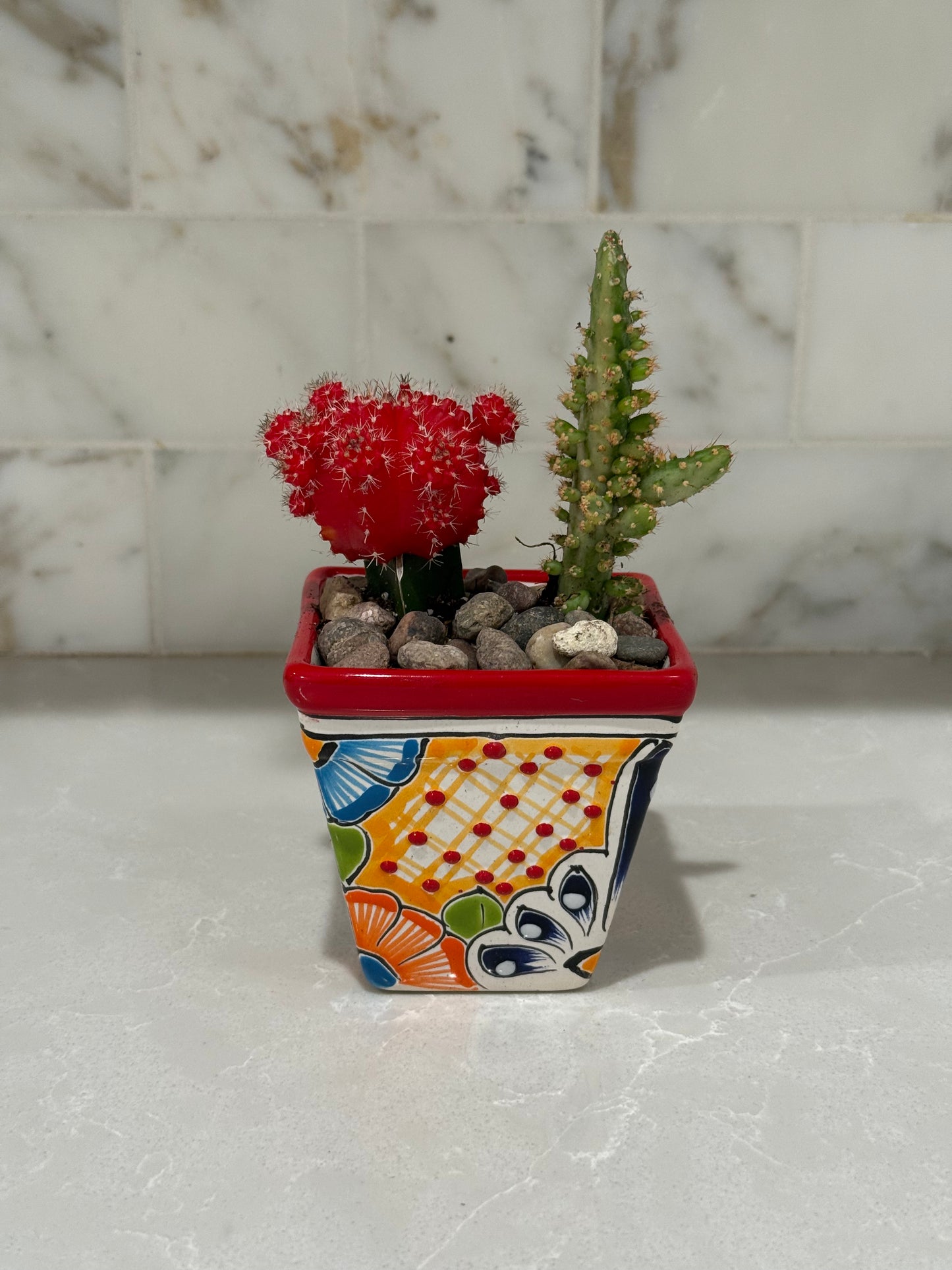 Mexican Artesian Red Yellow Multi Color Talavera Succulents Mix