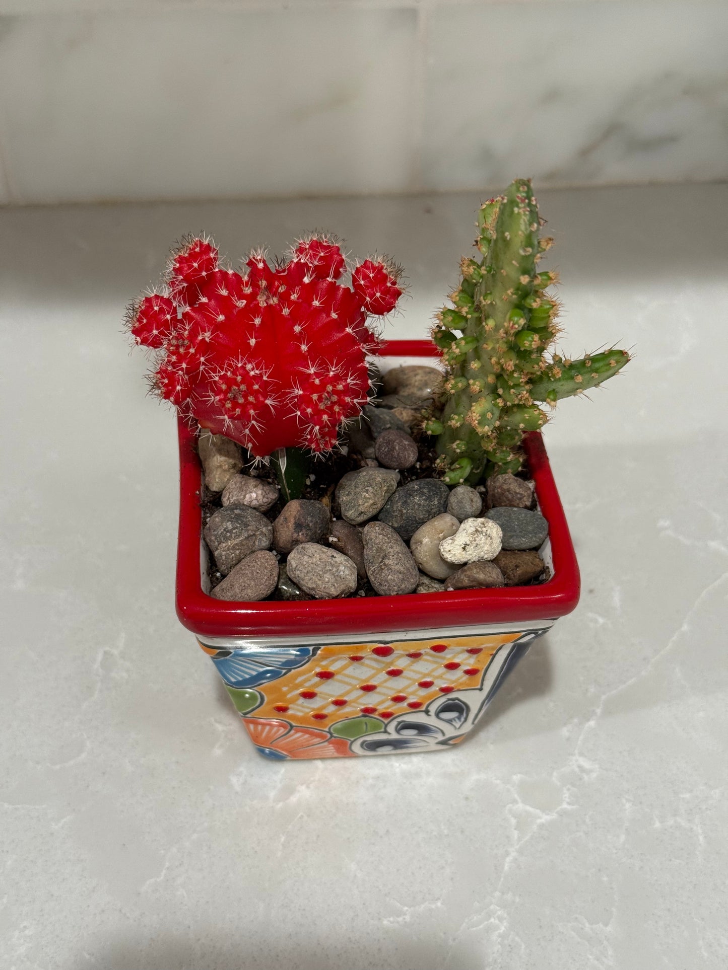 Mexican Artesian Red Yellow Multi Color Talavera Succulents Mix