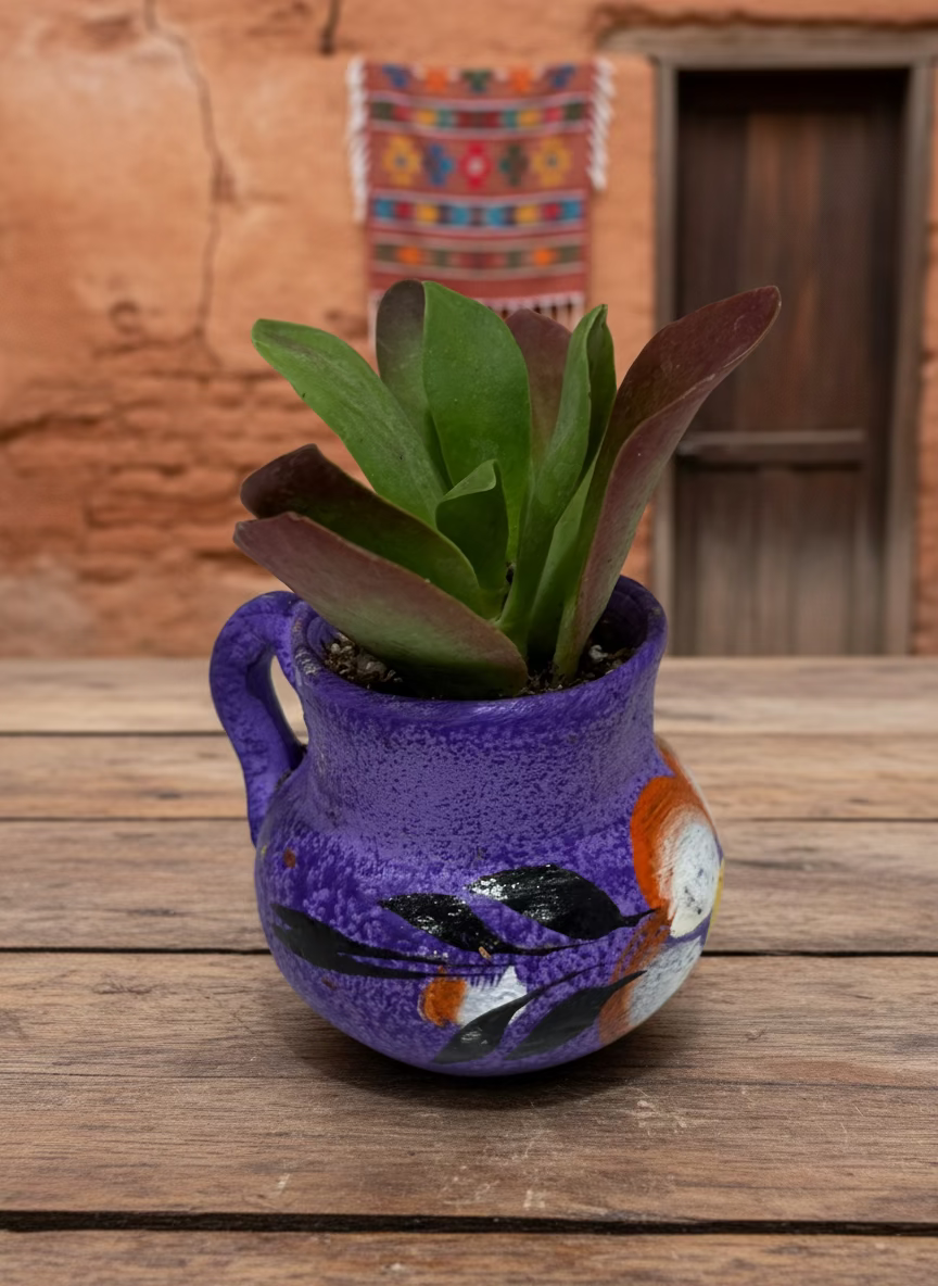 Mini Jarritos Succulent Collection