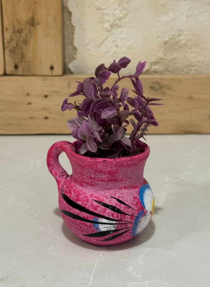 Mini Jarritos Succulent Collection